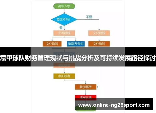 意甲球队财务管理现状与挑战分析及可持续发展路径探讨