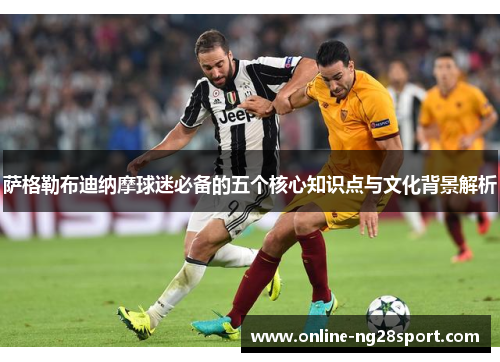 萨格勒布迪纳摩球迷必备的五个核心知识点与文化背景解析