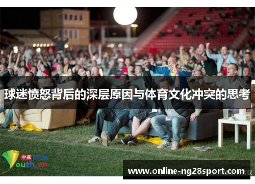 球迷愤怒背后的深层原因与体育文化冲突的思考