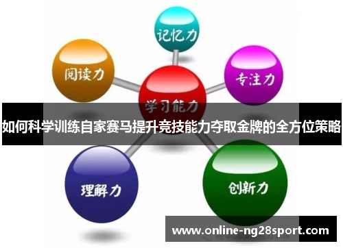 如何科学训练自家赛马提升竞技能力夺取金牌的全方位策略