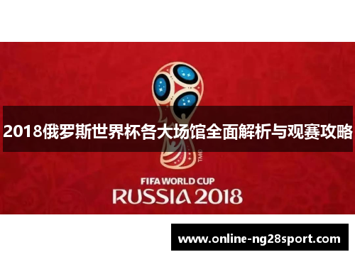 2018俄罗斯世界杯各大场馆全面解析与观赛攻略