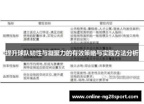 提升球队韧性与凝聚力的有效策略与实践方法分析