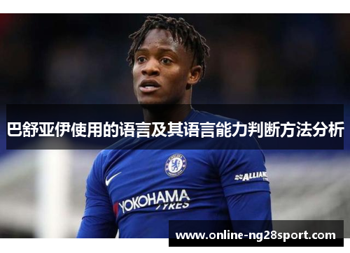 巴舒亚伊使用的语言及其语言能力判断方法分析